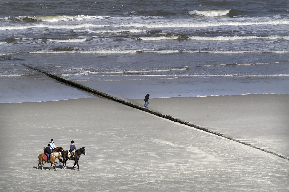 Strand mit Buhne auf der Insel Norderney. Aufnahme: März 2008.