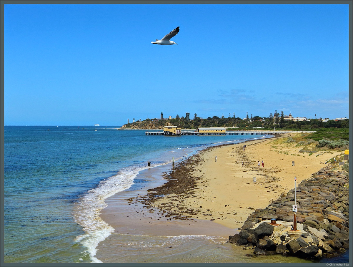 Strand von Queenscliff, Victoria mit Möwe, Pier und Leuchtturm. (01.01.2020)