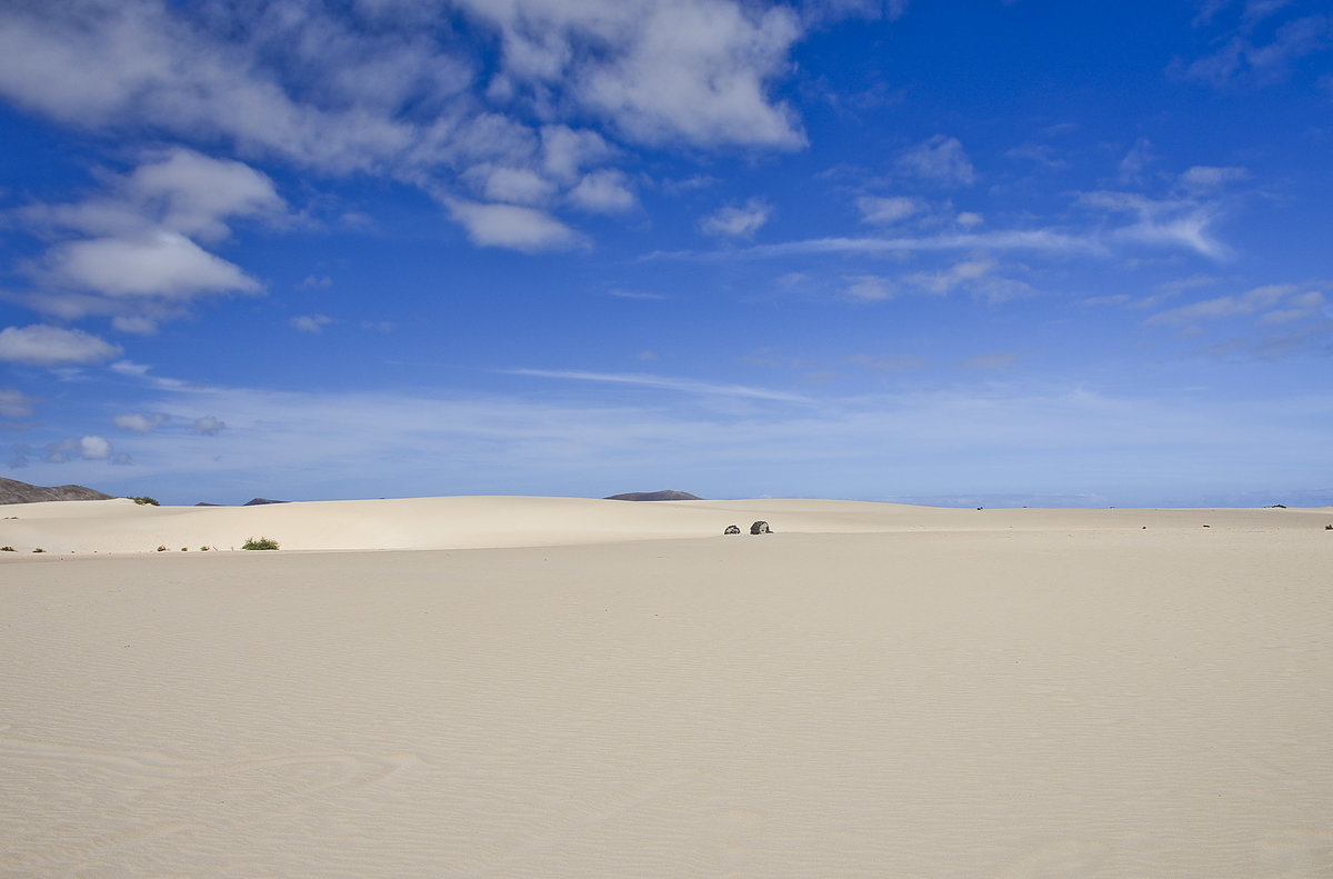 Südlich von Corralejo auf der Insel Fuerteventura erstreckt sich das Dünengebiet des Nationalparks (Parque Natural de las Dunas de Corralejo) auf ca. 11 km Länge. 
Aufnahme: 19. Oktober 2017.
