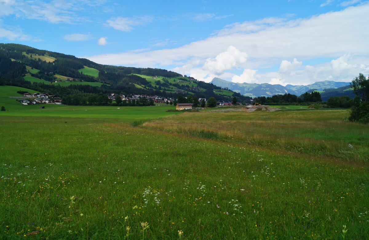 Sumpflandschaft bei Kirchberg in Tirol mit Blick nach Osten zum Kitzbüheler Horn, 25.07.2020.