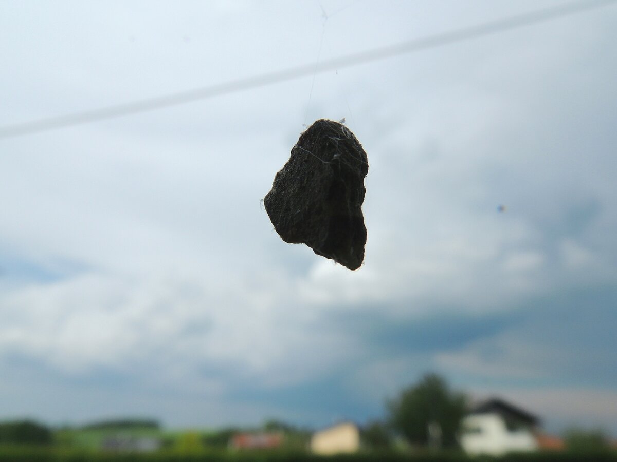 Tagelang konnte dieser, nur an Spinnweben hängend, schwebende Stein beobachtet werden; 140526