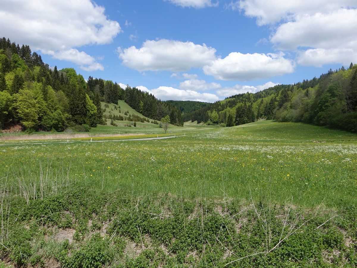 Tal der Bära bei Unterdigisheim im Zollernalbkreis (21.05.2017)