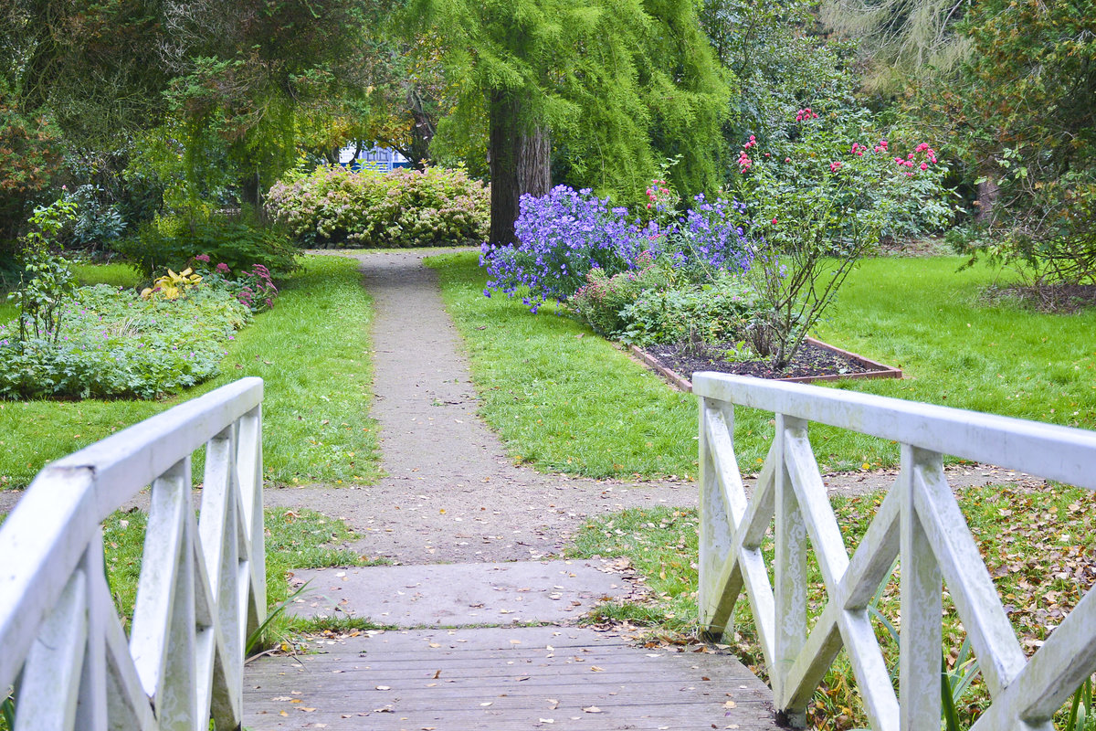 Tating auf der Halbinsel Eiderstedt - Blick in den Hochdorfer Garten. Aufnahme: 20. Oktober 2020.