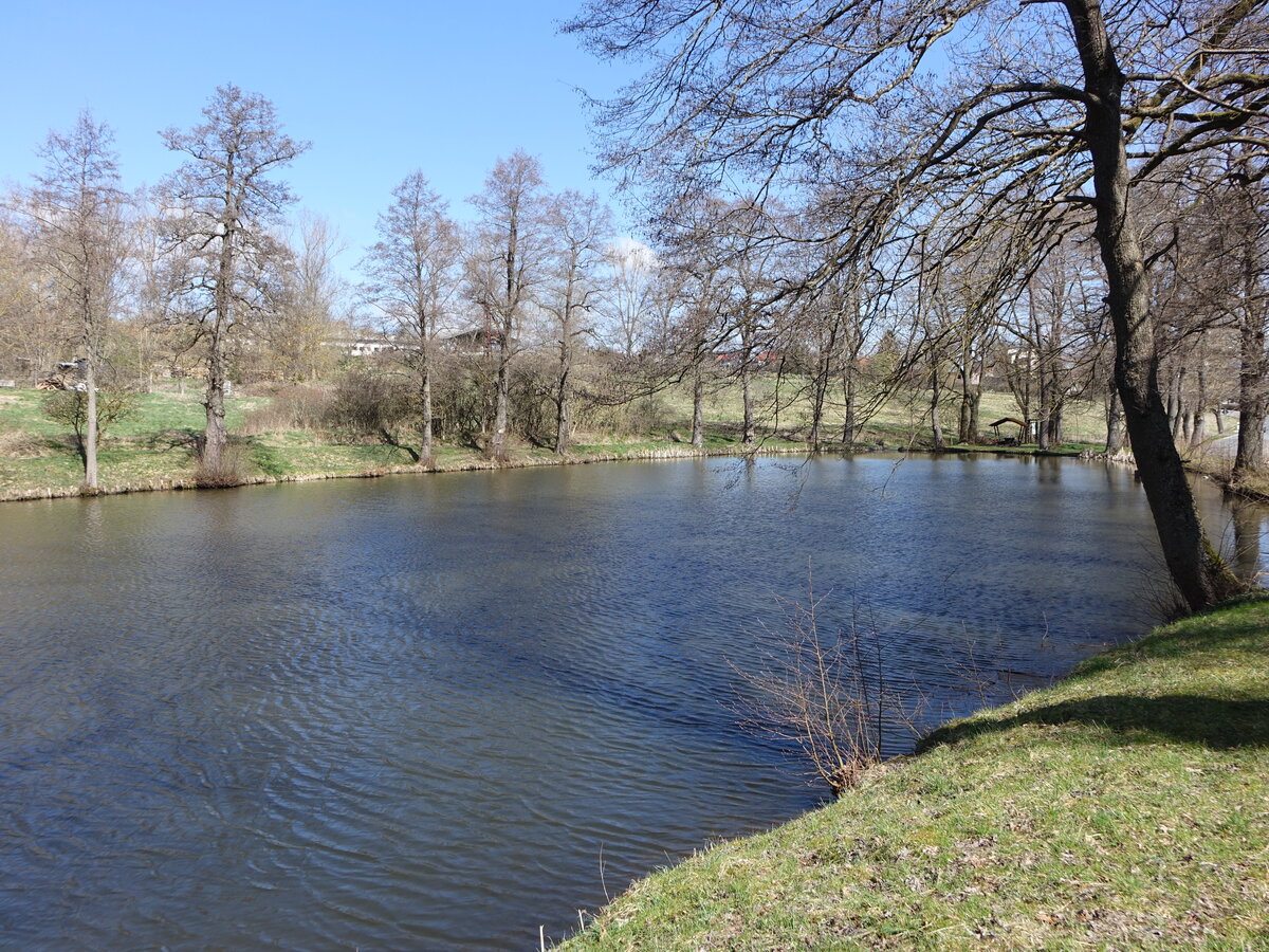 Teich bei Geschwende, Thüringer Wald (16.04.2022)