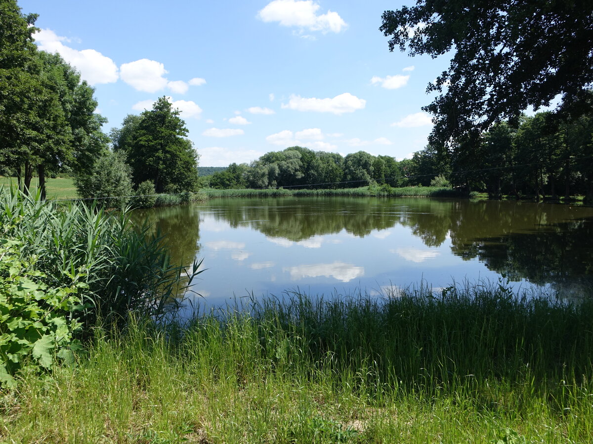 Teich bei Wolfsersdorf am Mühlenweg (25.06.2023)