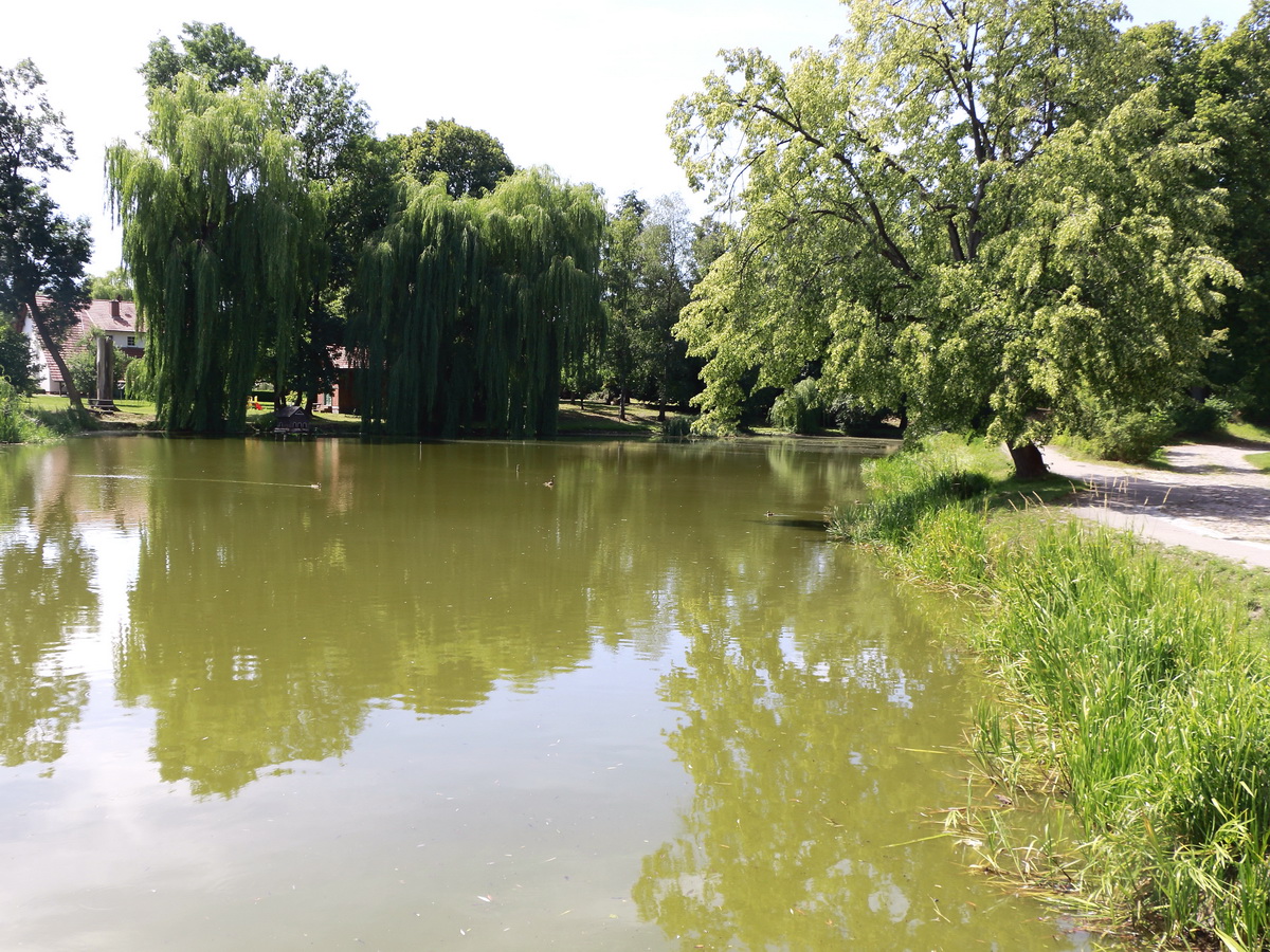 Teichanlage nahe dem Archäologischer Park Freyenstein am 24. Juli 2019.