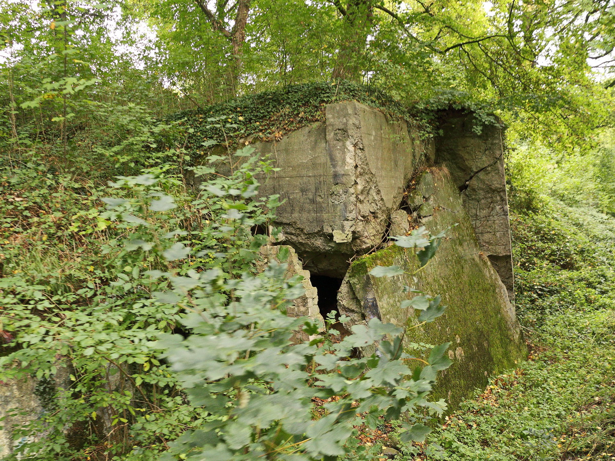 Teile des Westwall nahe Simpelveld am 11. Oktober 2020.