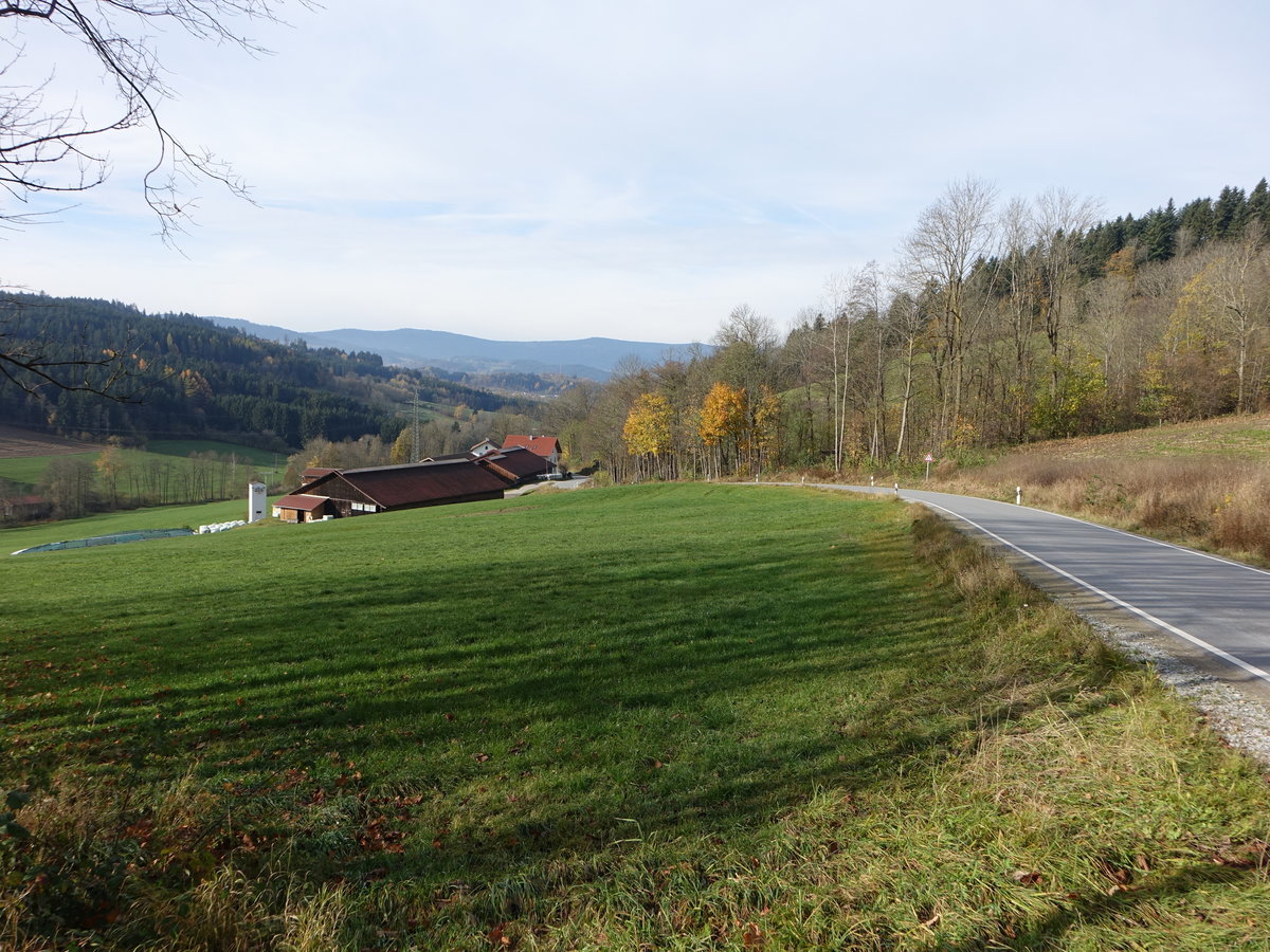 Teisnachtal bei Muschenried im Landkreis Regen (04.11.2017)