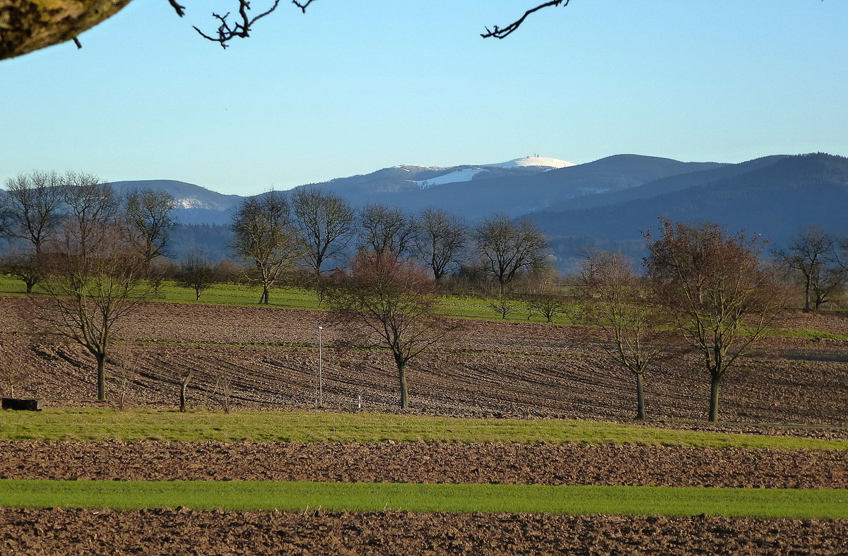 Teleblick vom Marchhgel in der Rheinebene zum schneebedeckten 1492m hohen Feldberg im Schwarzwald, Feb.2014 