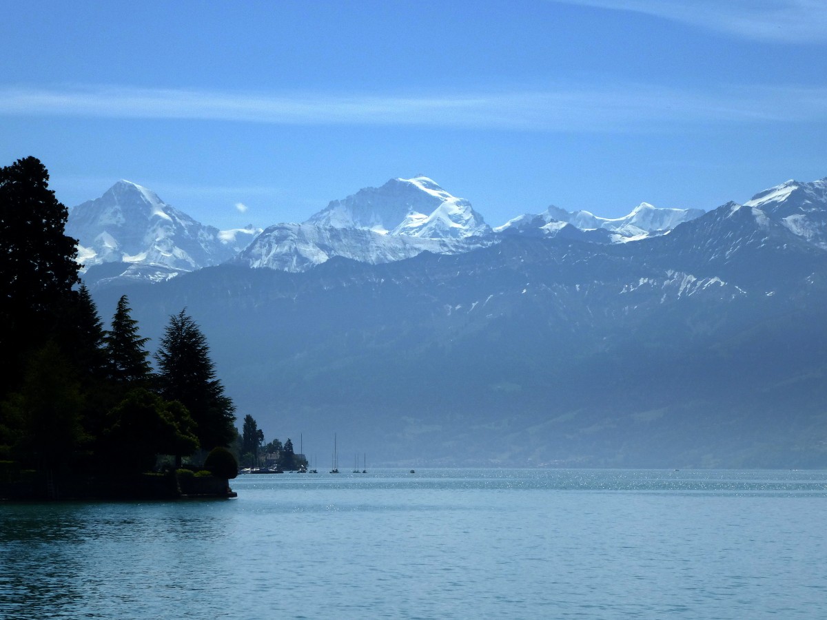 Teleblick vom Nordufer ber den Thunersee auf die schneebedeckten Gipfel des Berner Oberlandes, Mai 2015