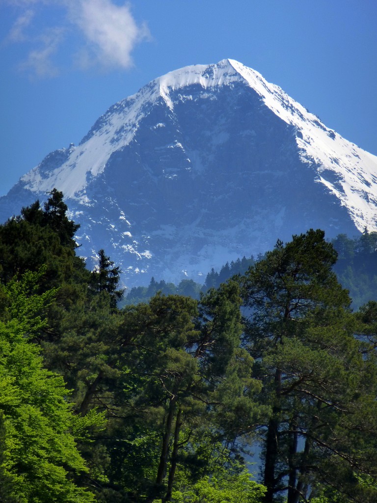 Teleblick von der Seestrae am Thunersee zum 3970m hohen Eiger mit der berhmten Nordwand (Mordwand), Mai 2015