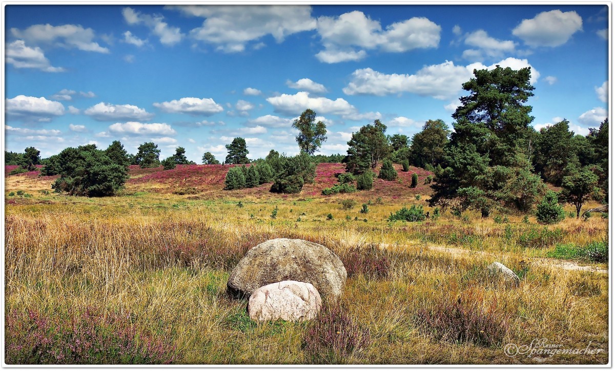 Timmerloher Heide bei Soltau, Findlinge Nähe Schafstall, August 2012.