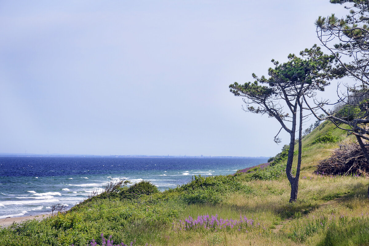 Tinkerup Strand westlich von Gilleleje auf Nordseeland. Aufnahme: 23. Juni 2023.