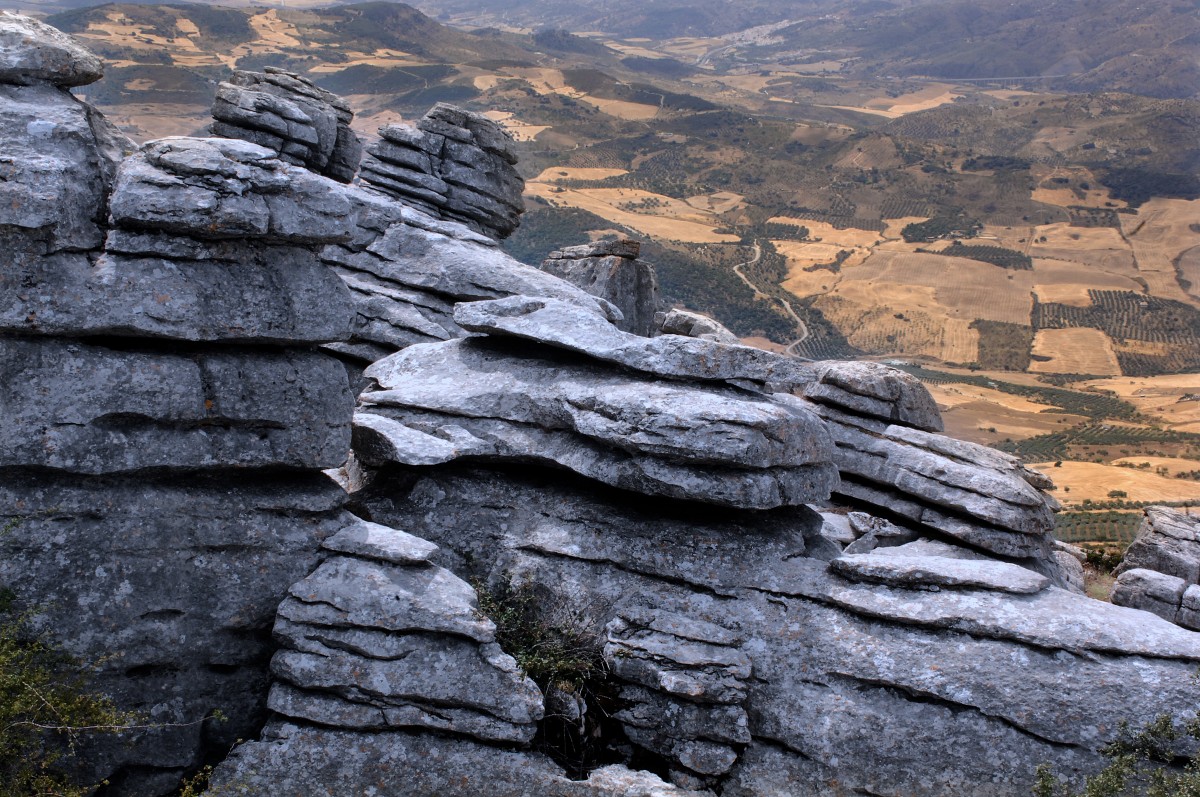 Torcal de Antequera, Andalusien. Aufnahmedatum: 16. Juli 2014.