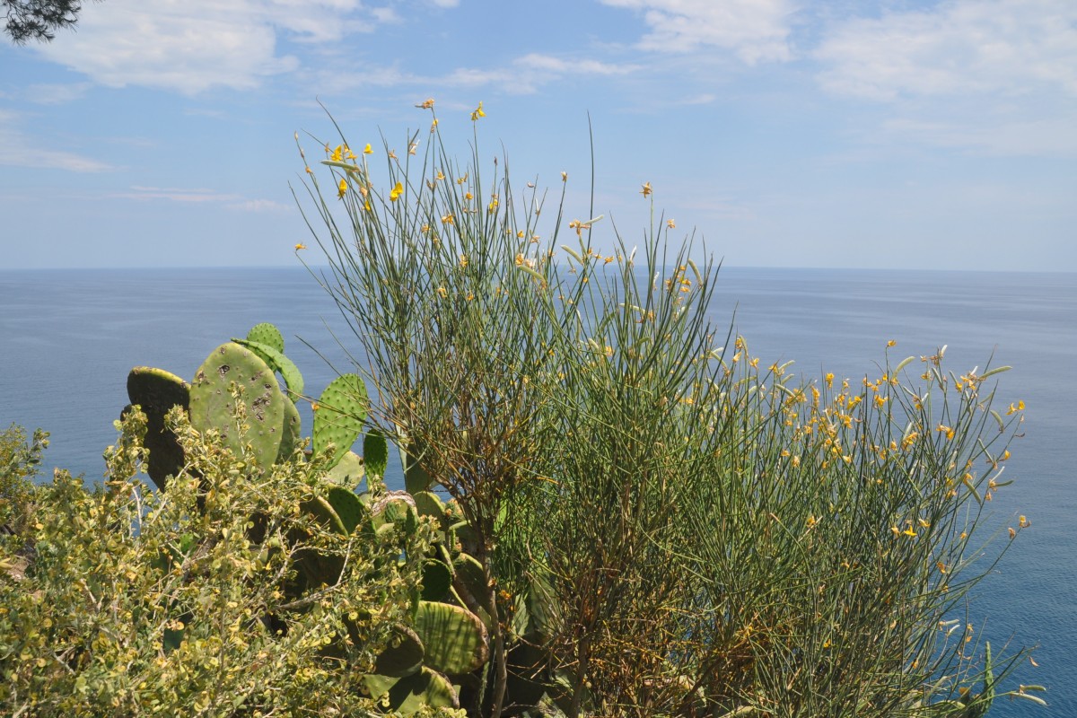 TOSSA DE MAR, 09.06.2015, am Leuchtturm