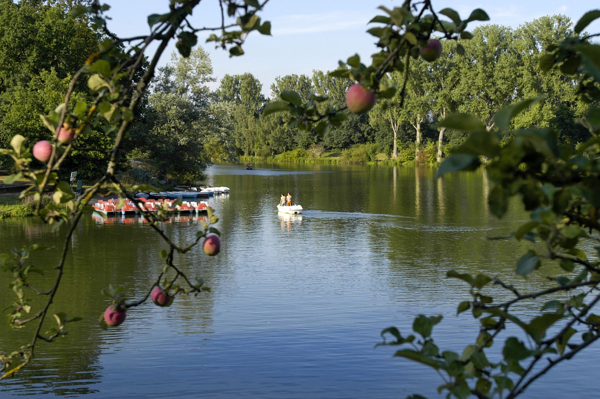 Tretboot auf der Regnitz bei Bamberg. Aufnahme: Juli 2008.