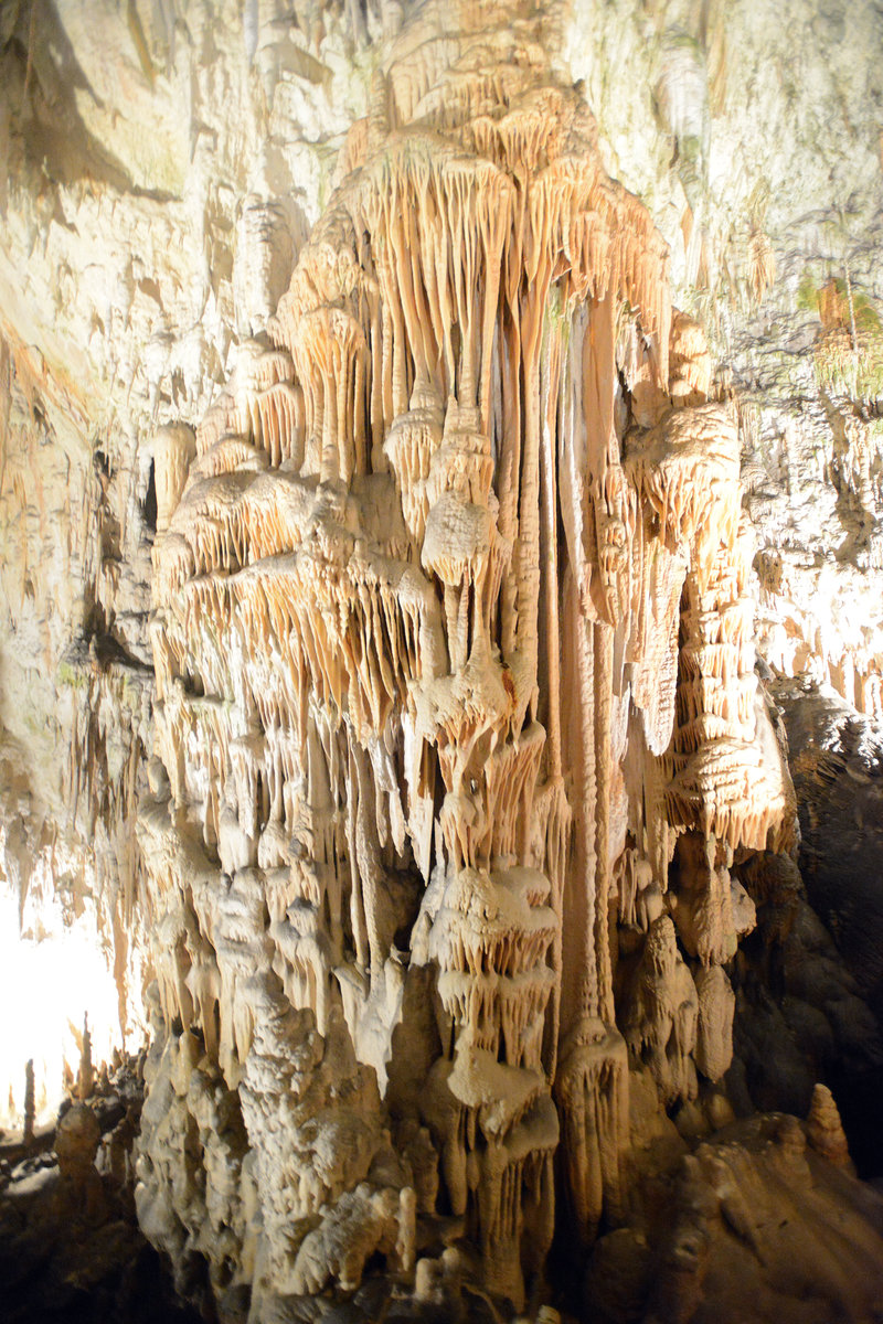 Tropfsteine in den Höhlen von Postojna in Slowenien. Aufnahme: 27. Juli 2016