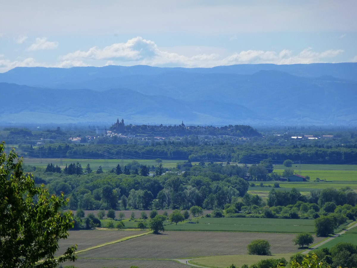 Tuniberg, Teleblick zum ca.10Km entfernten Breisach mit dem markanten Burgberg und Mnster, dahinter die Vogesen, Mai 2014