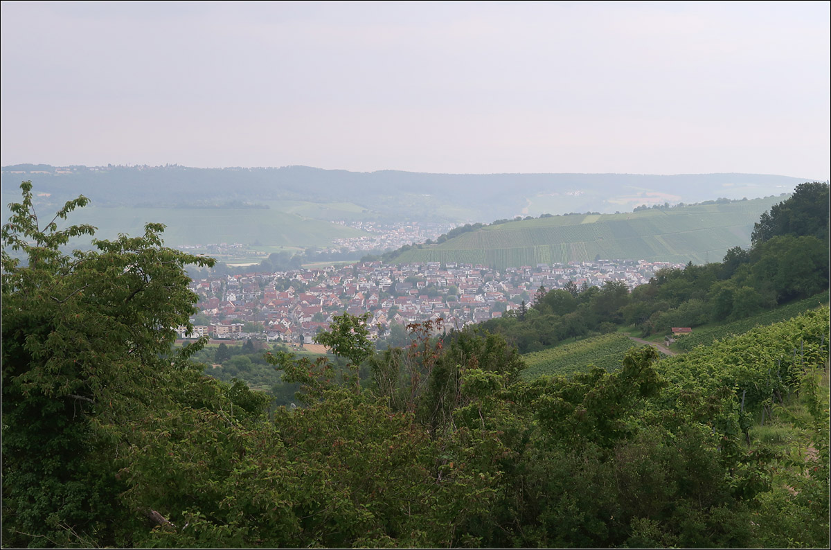 Über dem Remstal -

Blick nach Weinstadt-Beutelsbach und hinter dem nächsten Bergrücken auch nach Remshalden-Grunbach.

24.07.2021 (M)