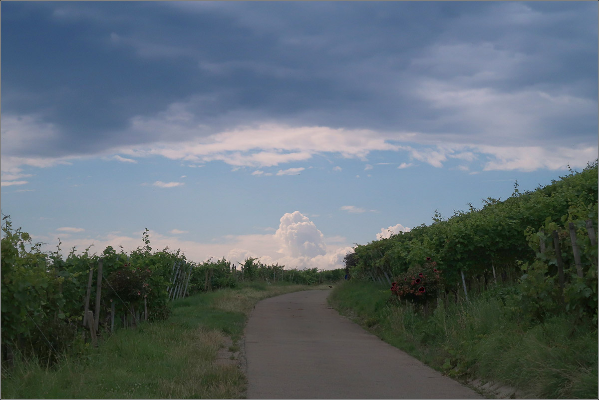 Über dem Remstal -

Das Spiel der Wolken über den Weinbergen des 'Korber Kopfes.'

24.07.2021 (M)