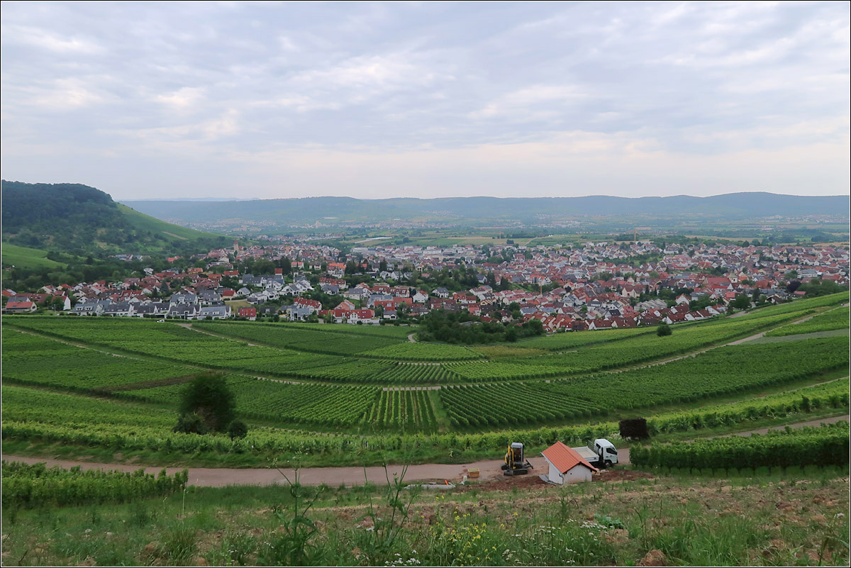 Über dem Remstal -

Wie eine flache Wanne wirkt der doch recht steile Weinberghang des Korber Kopfes. Darunter das Dorf Korb, links der Kleinheppacher Kopf und im Hintergrund die Schurwaldhöhe auf der südlichen Seite des Remstales. Unser Wohnort Kernen befindet sich am rechten Bildwand vor dem Höhenzug.

24.07.2021 (M)