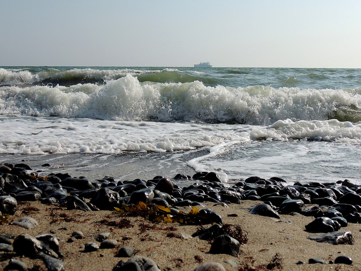 unermüdlich peitschen die Wellen der Ostsee entlang der Kreidefelsen im Naturpark Jasmund, und bringen so Meeresgut an den Strand; 140918