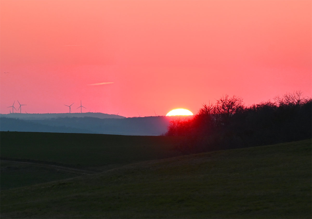 Untergehende Sonne neben Windrädern in der Eifel - 04.03.2022