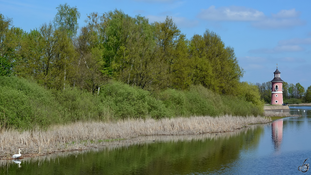 Unterwegs am Großteich in Moritzburg. (April 2014)