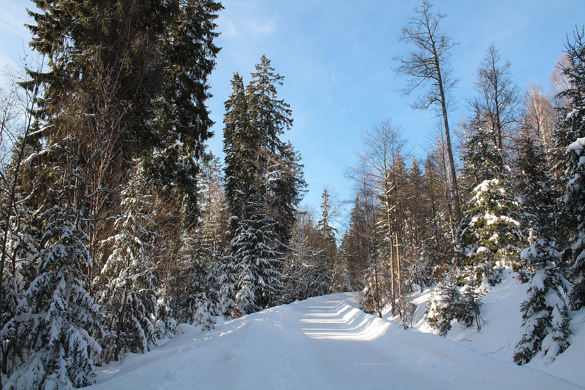 Unterwegs am Nachmittag des 14.02.2021 im Wald an der Großen Bodestraße Richtung Wurmberggipfel...