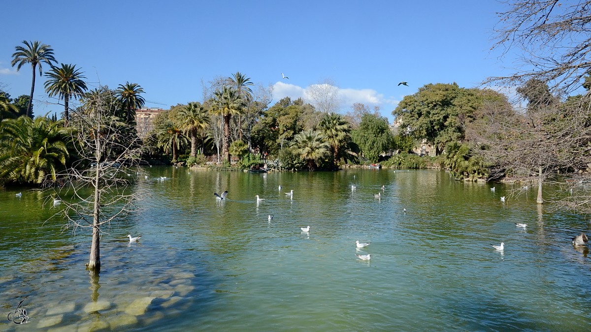 Unterwegs im Parc de la Ciutadella, einer Parkanlage in Barcelona. (Februar 2013)