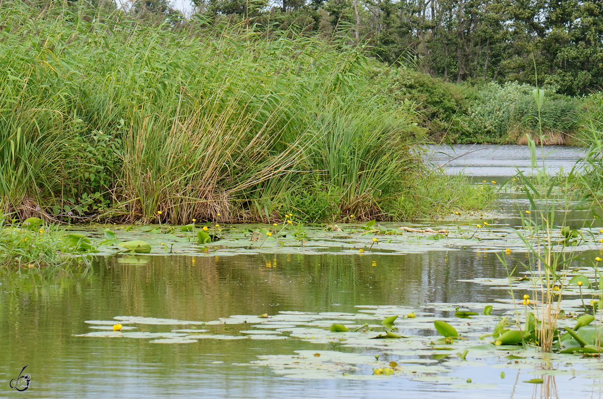 Unterwegs in den Peenewiesen. (Jarmen, August 2013)