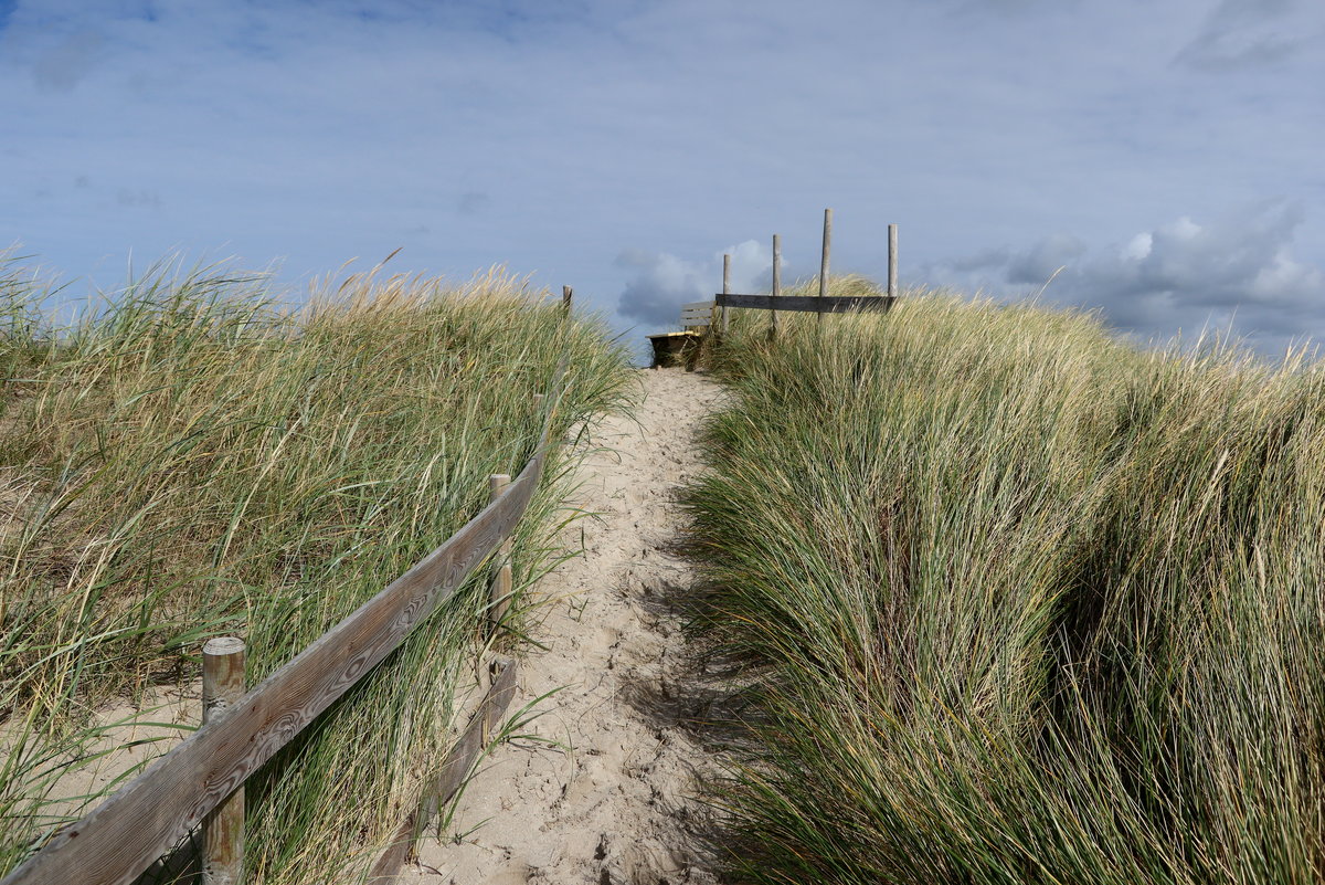 Unweit des Strandes von Nieblum auf Föhr aufgenommen am 9. September 2018.