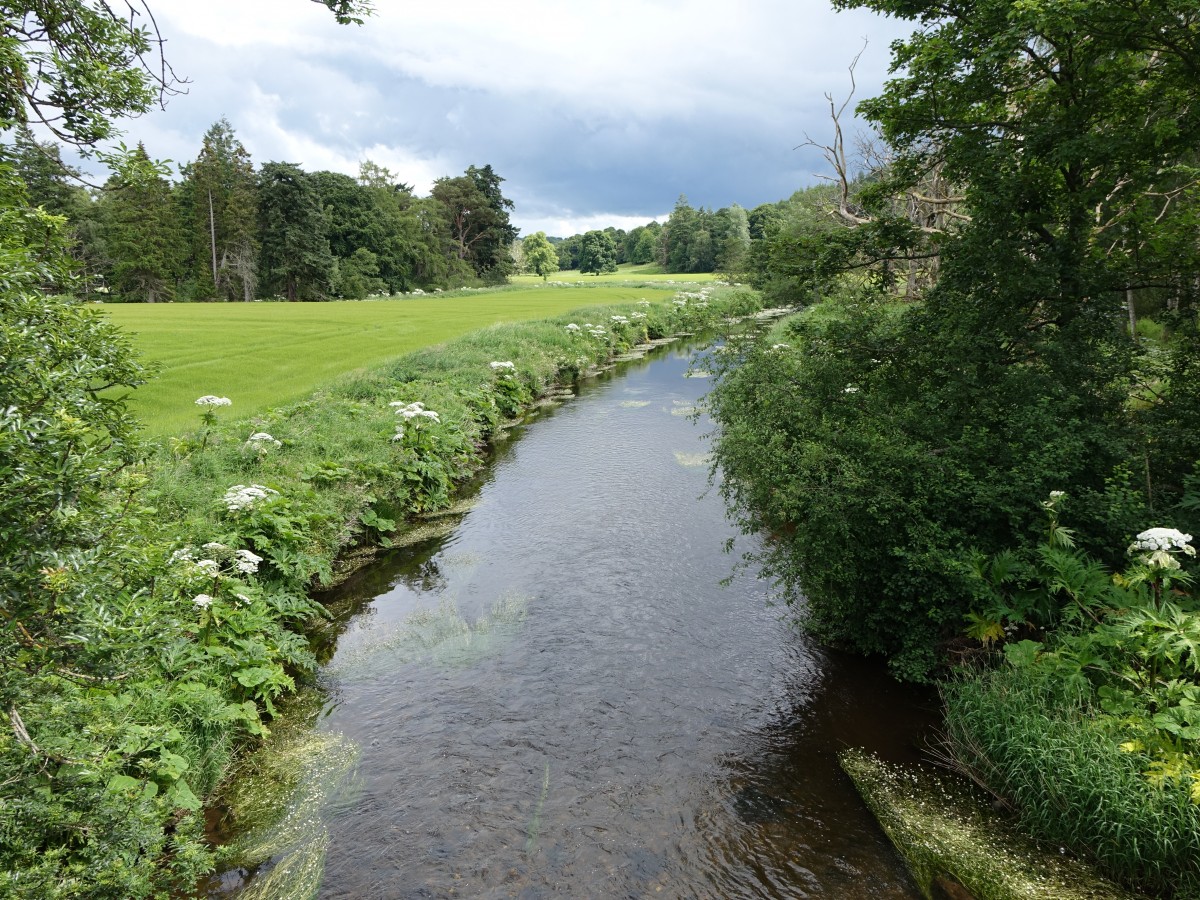 Urie River bei Pitcaple (07.07.2015)