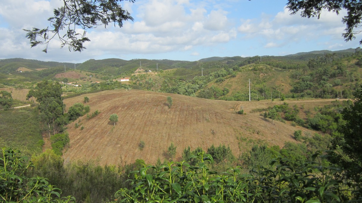 Vale de Linho bei Aljezur (24.05.2014)