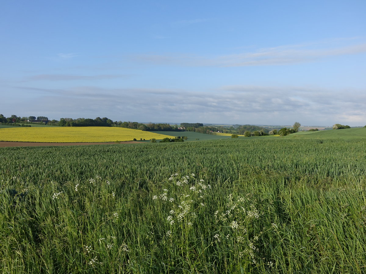 Valle de Somme bei Saint Riquier (15.05.2016)