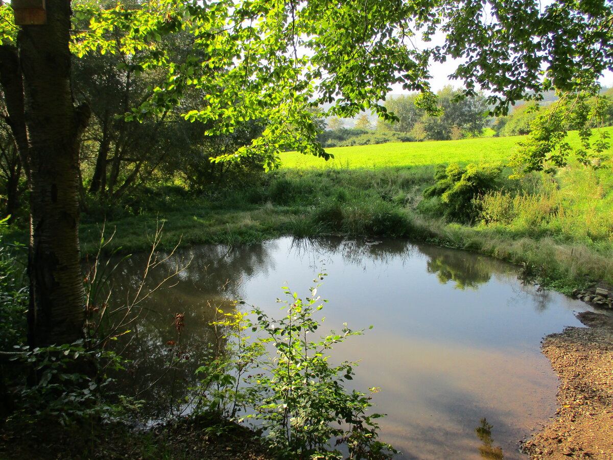 Versteckt und trotzdem gefunden diesen kleinen Teich bei Floh Seligenthal am 29.Mai 2020.