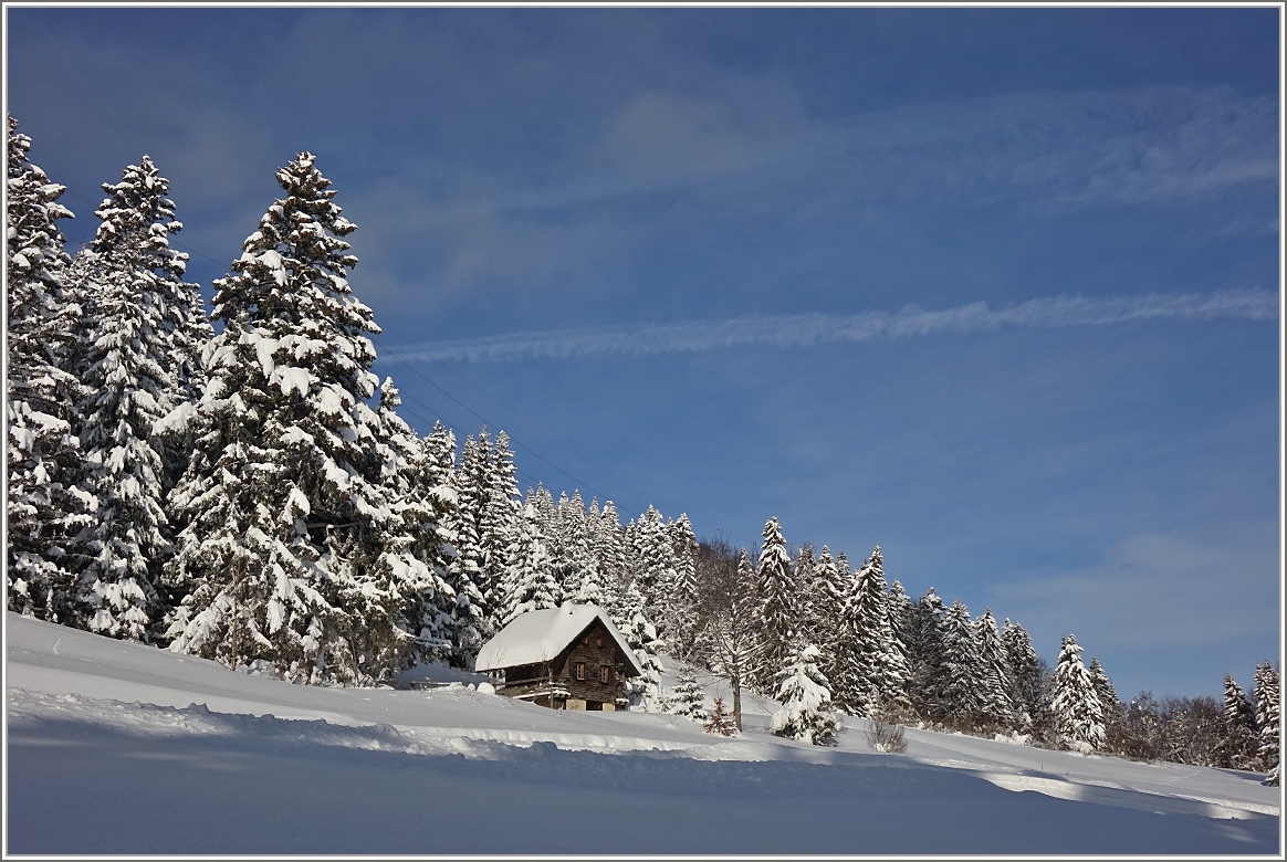 Verträumte Winterstimmung am Les Pleiades.
(03.02.2015)