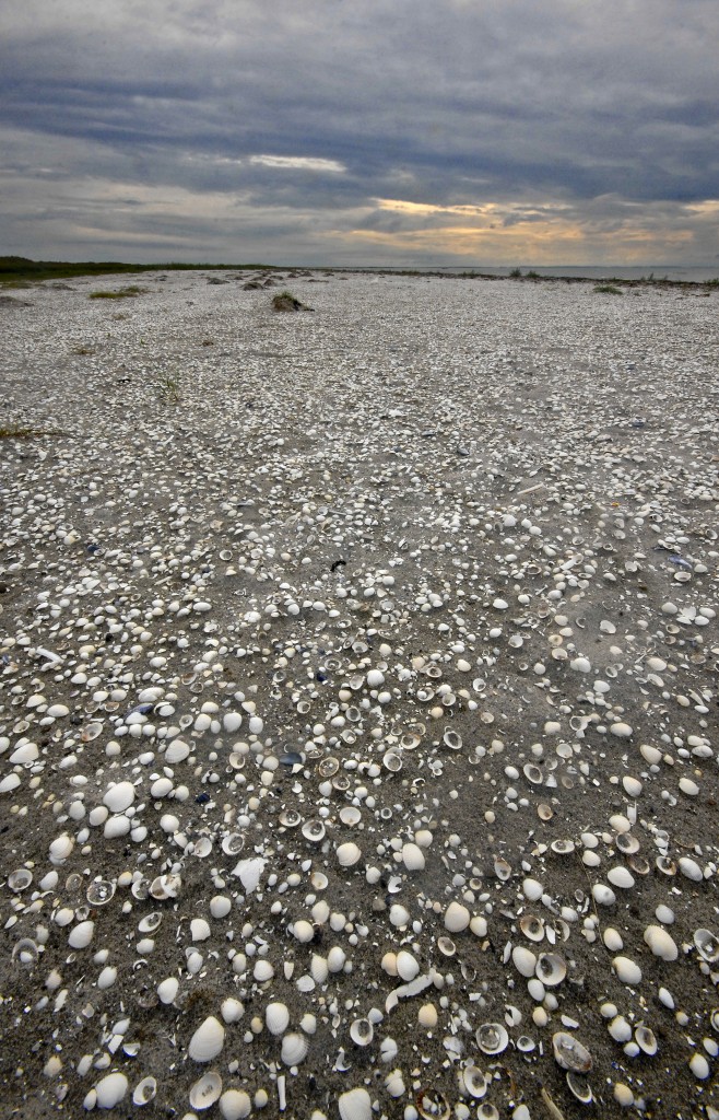 Vesterø Strand auf der Insel Læsø. Aufnahmedatum: 12. Juli 2012.