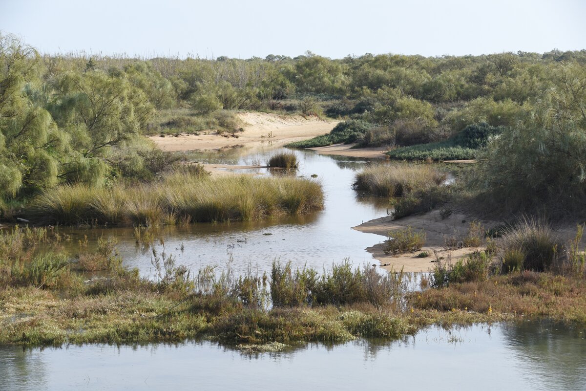 VILA REAL DE SANTO ANTÓNIO, 22.03.2022, am Rio Guadiana, kurz vor Praia da Ponta da Areia