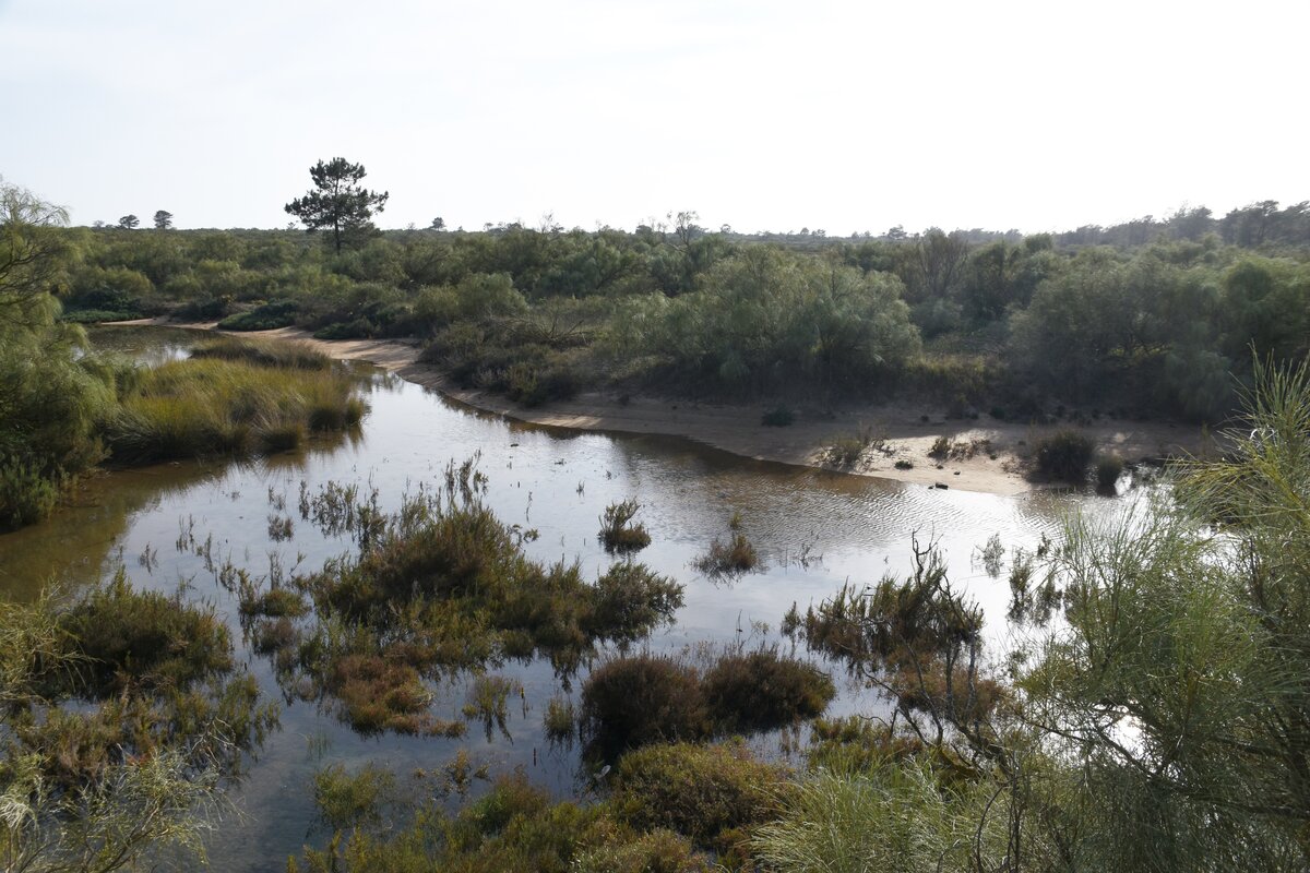 VILA REAL DE SANTO ANTÓNIO, 22.03.2022, am Rio Guadiana, kurz vor Praia da Ponta da Areia