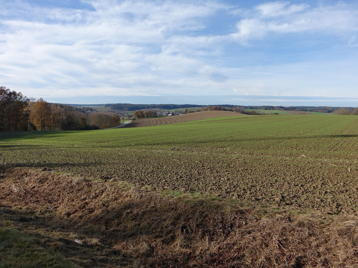 Vilstal bei Englmannsberg, Kreis Dingolfing (21.11.2016)