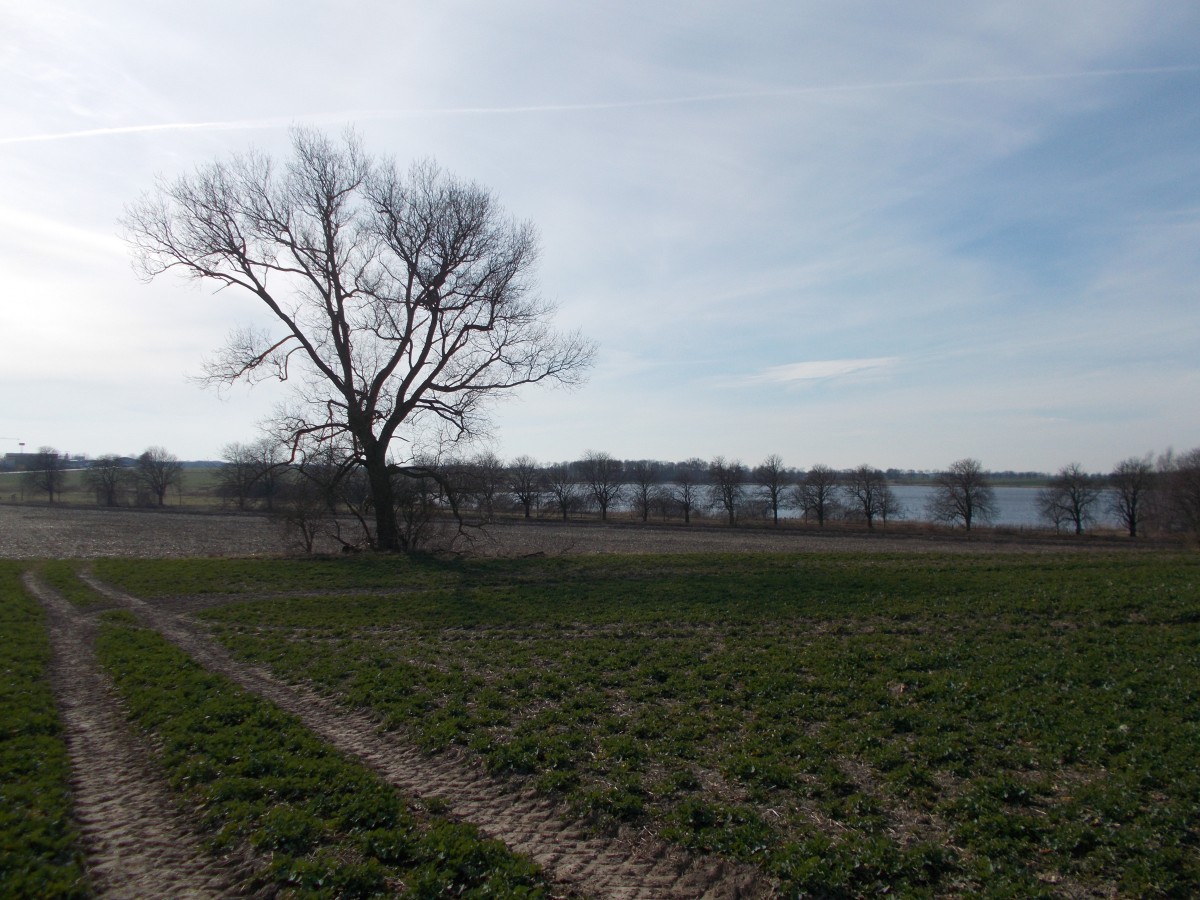 Von einer Anhöhe bei Bergen/Rügen hatte ich,am 23.März 2015,den Blick zum Nonnensee.