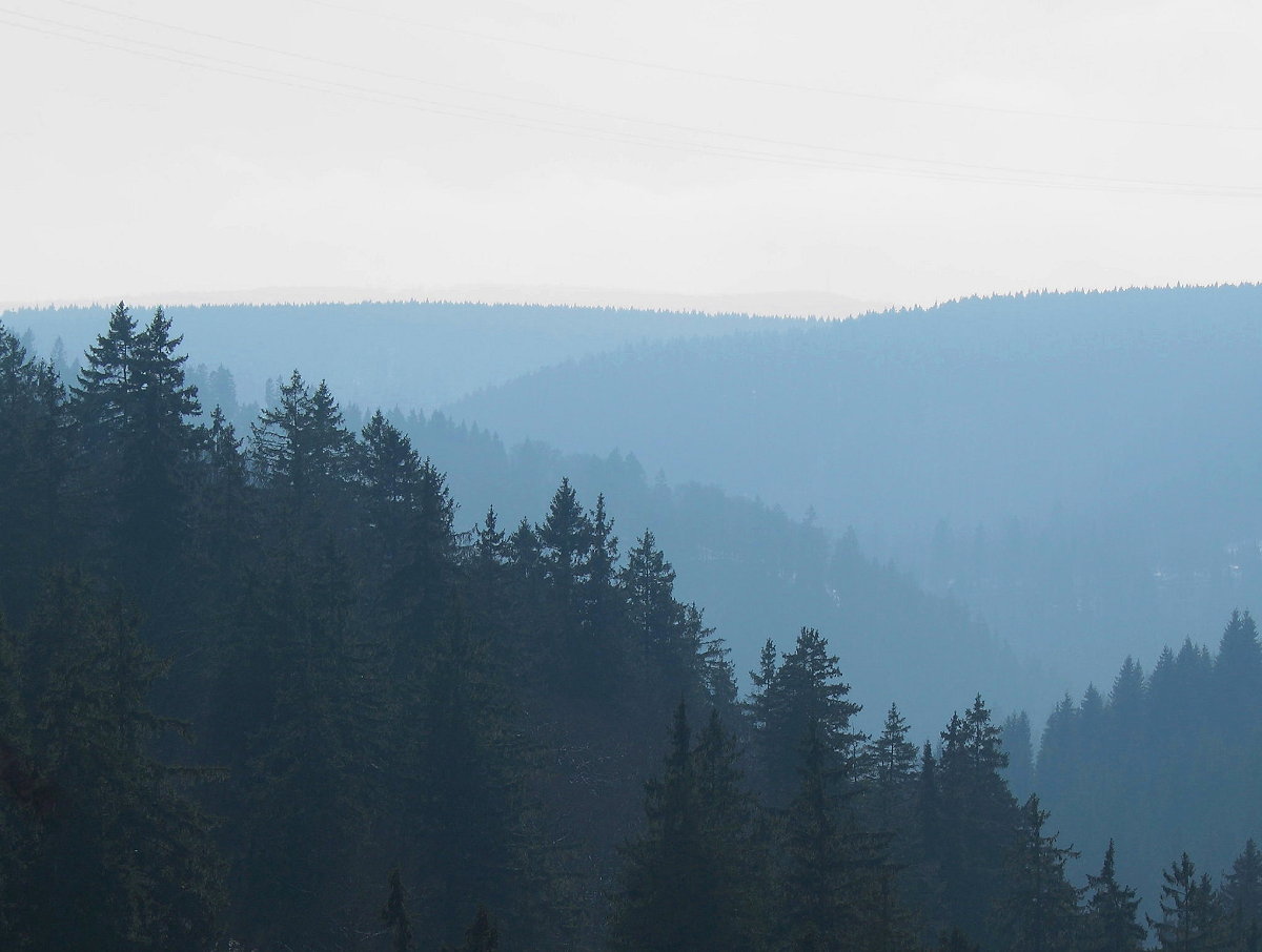 Vor dem Abstieg ins Odertal schweift der Blick über die Bergreihen Richtung Süden; es ist diesig geworden - Schnee ist für den Abend angekündigt. Aufnahme vom Nachmittag des 01.03.2016 auf dem Wanderweg zwischen Silberteich und Odertal...