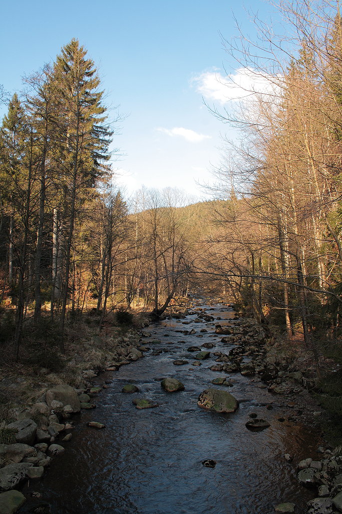 Vorfrühling an der Oder; Aufnahme vom Nachmittag des 09. März 2016 auf der Odertalstraße zwischen Braunlage und St. Andreasberg...