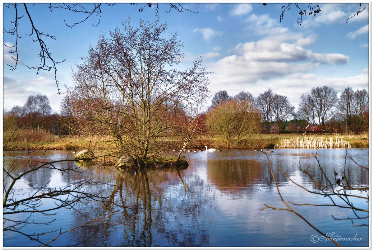 Vorfrühling im Februar, Teich Nähe Gewerbegebiet Schneverdingen, Februar 2015