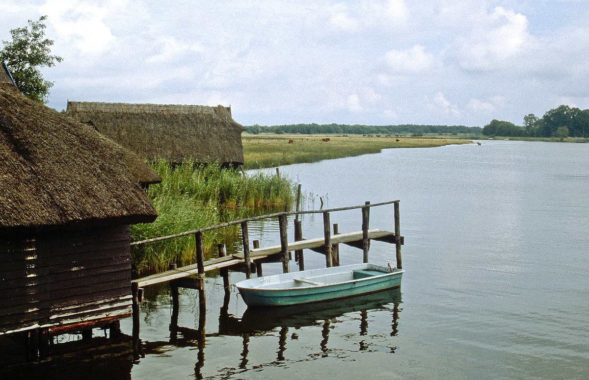 Vorpommersche Boddenlandschaft am Ostseebad Zingst. Bild vom Dia. Aufnahme: Juni 1991.