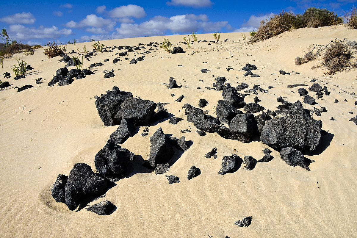Vulkansteine in den Sanddünen in Parque Natural de Corralejo auf der Insel Fuerteventura in Spanien. Aufnahme: 18. Oktober 2017.