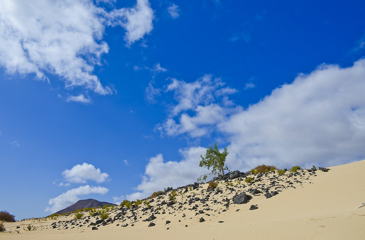 Vulkansteine im Wanderdünengebiet »El Cable« südlich von Coralejo auf der Insel Fuerteventura in Spanien. Aufnahme: 18. Oktober 2017.