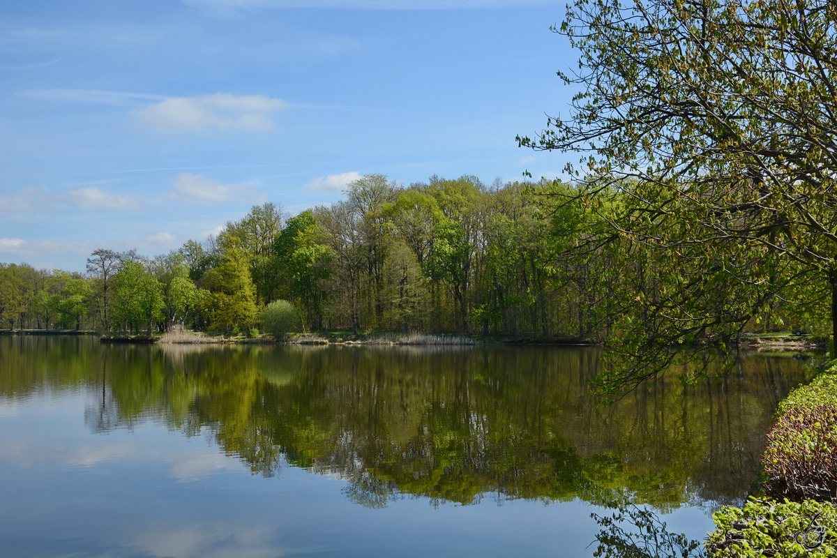 Während eines erholsamen Spazierganges am Schlossteich in Moritzburg. (April 2014)