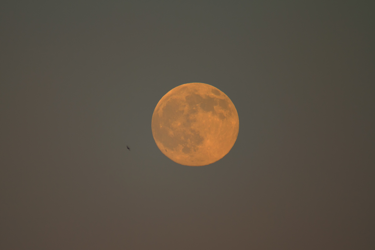 Während man auf der einen Seite Schwalben zusehen konnte, die um den aufgehenden Vollmond flogen,war auf der entgegengesetzten Seite die Sonne beim Untergang (mit Sonnenfilter aufgenommen) zu beobachten. - 12.06.2014

